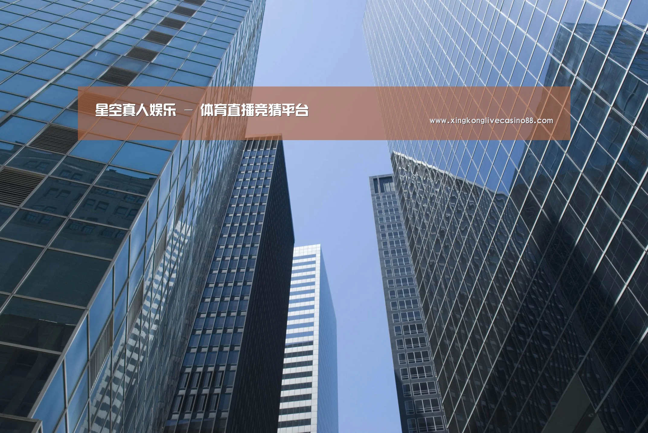 星空体育，星空百家乐，星空APP，星空娱乐公司简介 