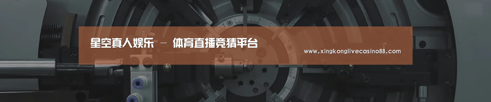 某某机械公司