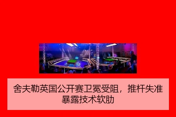 she-fu-lei-ying-guo-gong-kai-sai-wei-mian-shou-zu-tui-gan-shi-zhun-bao-lu-ji-shu-ruan-lei-3-962.jpg