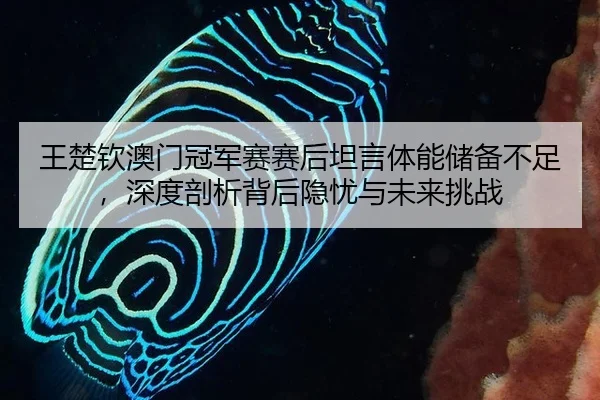 王楚钦澳门冠军赛赛后坦言体能储备不足，深度剖析背后隐忧与未来挑战
