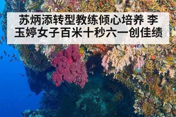 苏炳添转型教练倾心培养 李玉婷女子百米十秒六一创佳绩