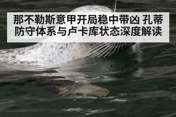 那不勒斯意甲开局稳中带凶 孔蒂防守体系与卢卡库状态深度解读